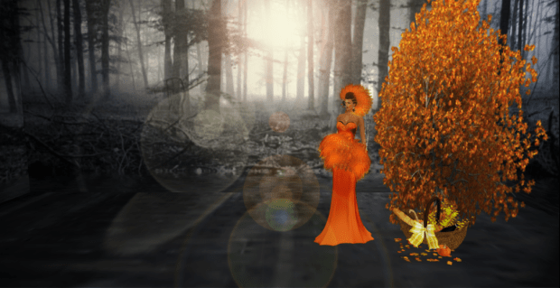 LOOK-2---Versus-Show